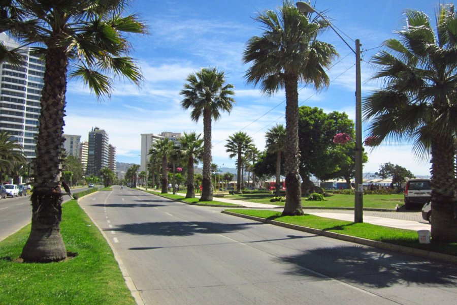 AVENIDA COSTERA