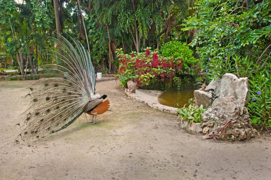 JARDIN ET ZOO ARDASTRA
