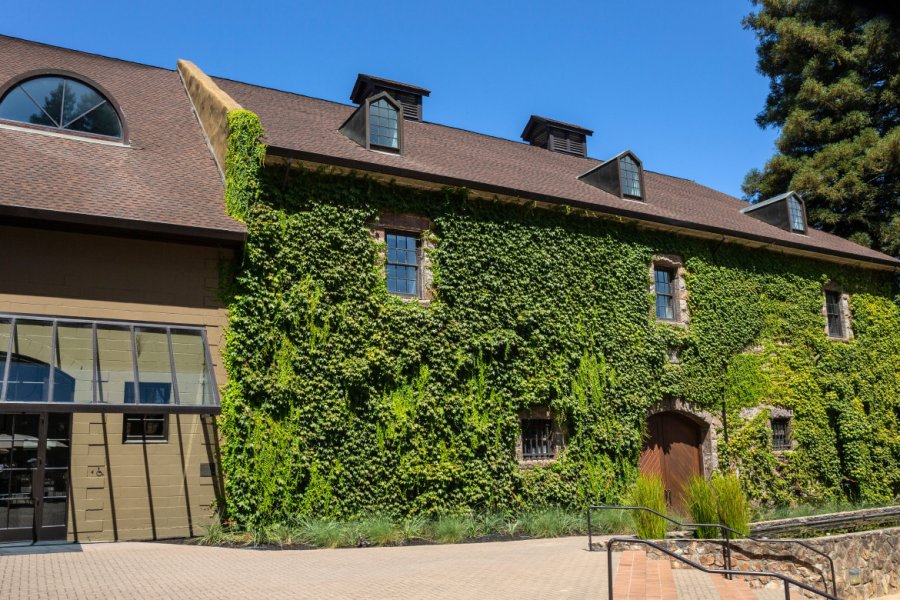 HESS COLLECTION WINERY