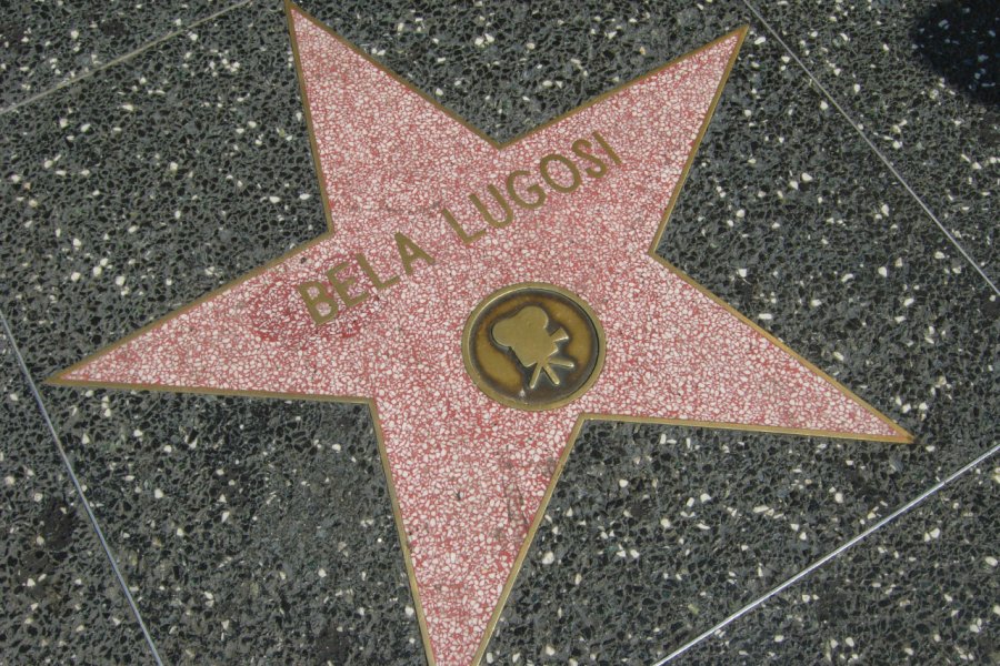 L'étoile de Bela Lugosi sur Hollywood Walk of frame. R69PHOTO - SHUTTERSTOCK.COM