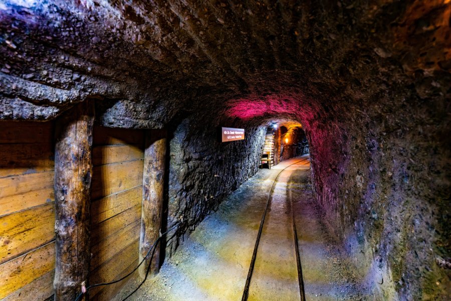 MINES DE SEL DE HALLEIN (SALZWELTEN HALLEIN)