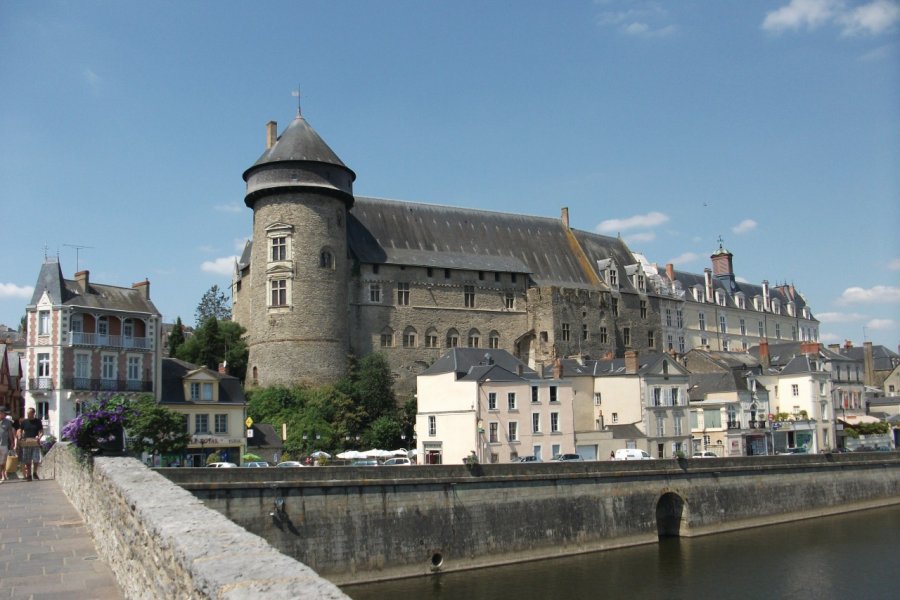 Le Vieux Château de Laval Béatrice DEMERSSEMAN