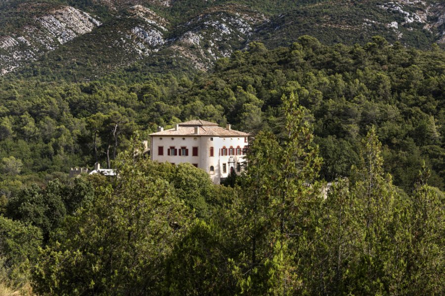 CHÂTEAU DE VAUVENARGUES