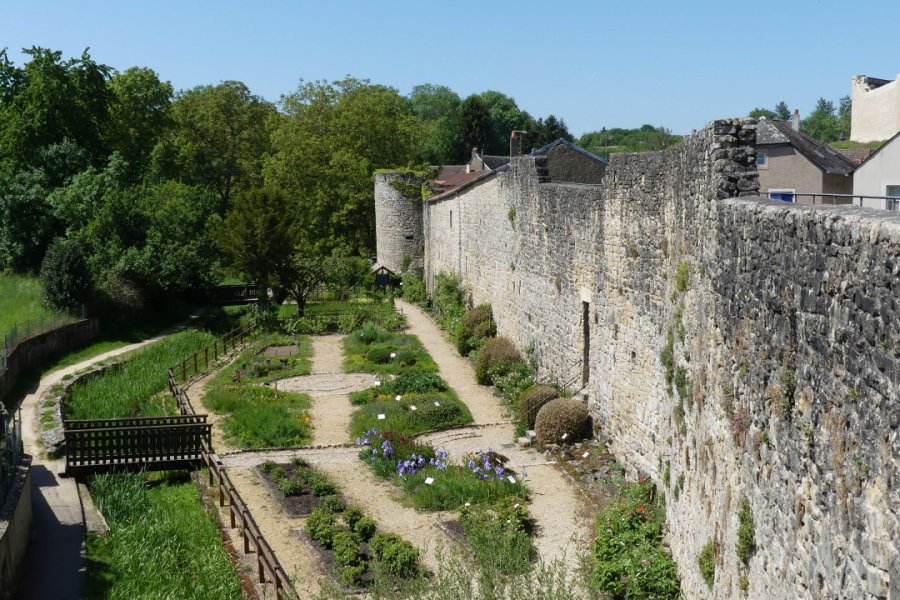 JARDIN MÉDIÉVAL