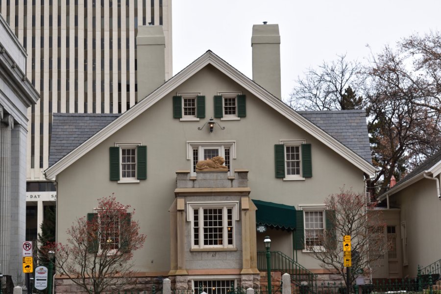 THE LION HOUSE