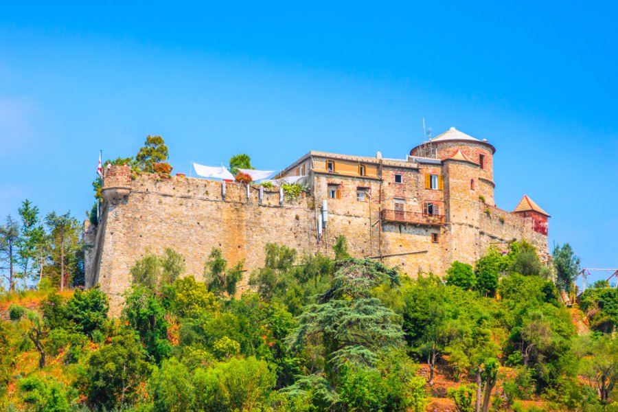 CASTELLO BROWN
