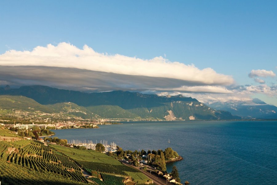 Panorama des vignobles en terrasses de Lavaux : vue sur Saint-Saphorin, Vevey, Montreux. Philippe GUERSAN - Author's Image