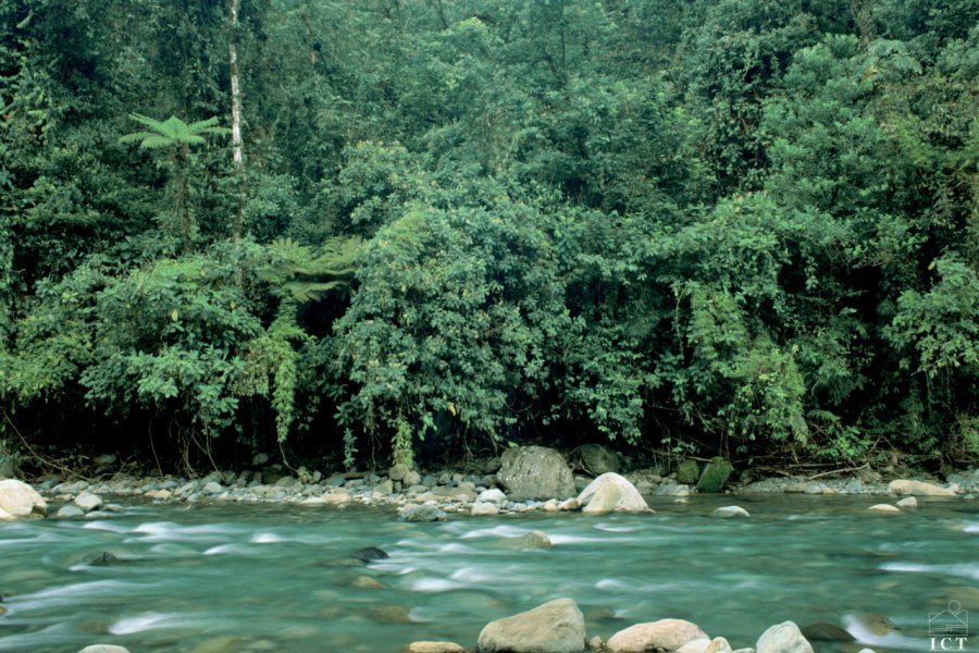 Rivière dans le Parc National de Tapanti ICT (Institut Costaricien de Tourisme)