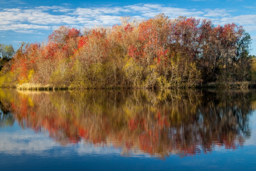ALICE LAKE