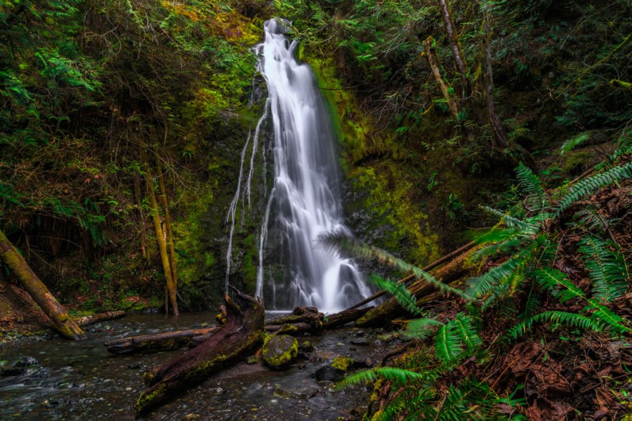 MADISON CREEK FALLS