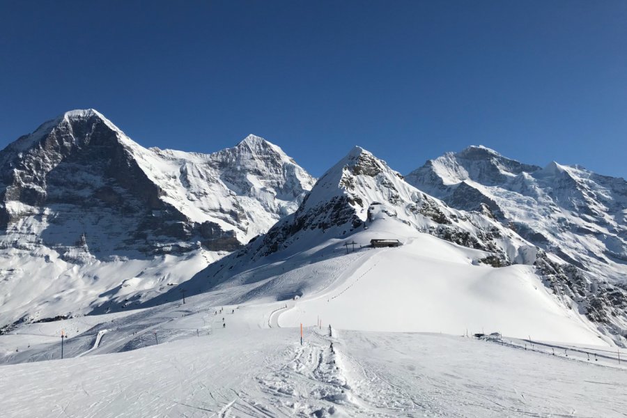 Eiger - Monch - Jungfrau