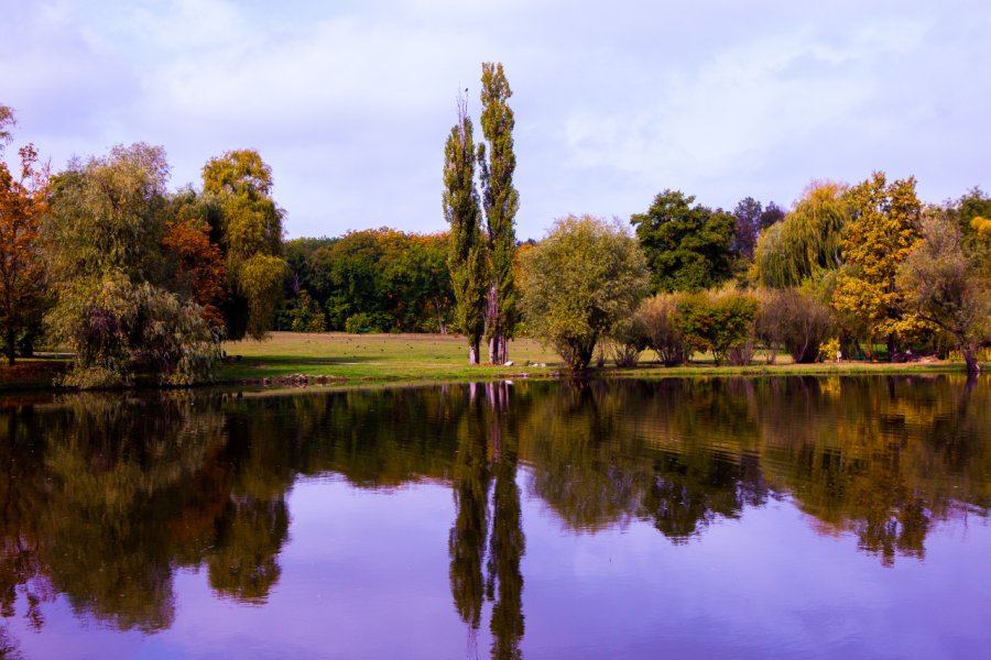JARDIN BOTANIQUE (GRĂDINA BOTANICĂ)