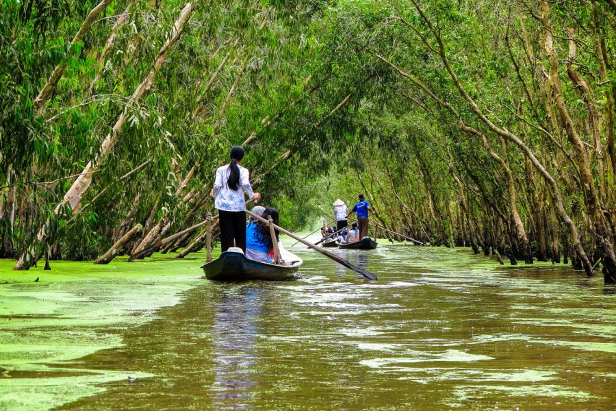 FORÊT DE TRA SU