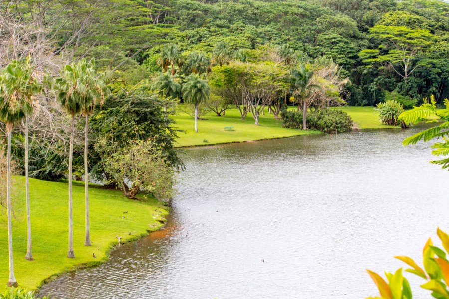 HOOMALUHIA BOTANICAL GARDENS