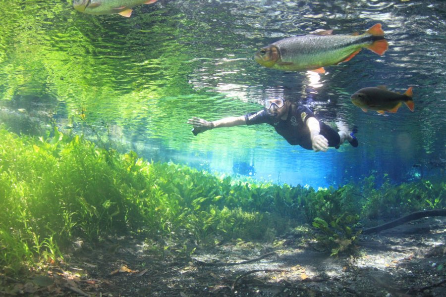 AQUARIO NATURAL