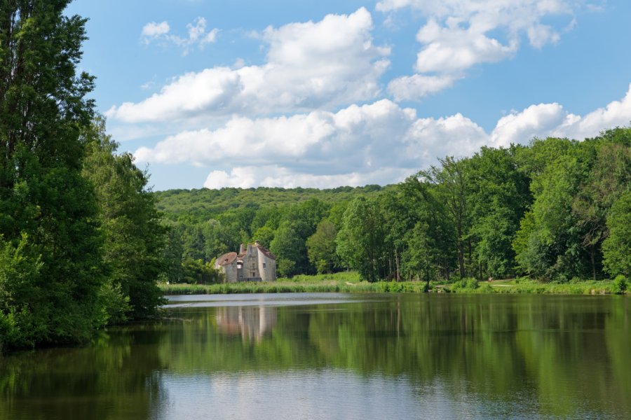 FORÊT DE MONTMORENCY