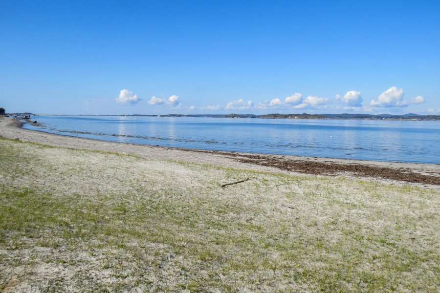 JOMFRULAND