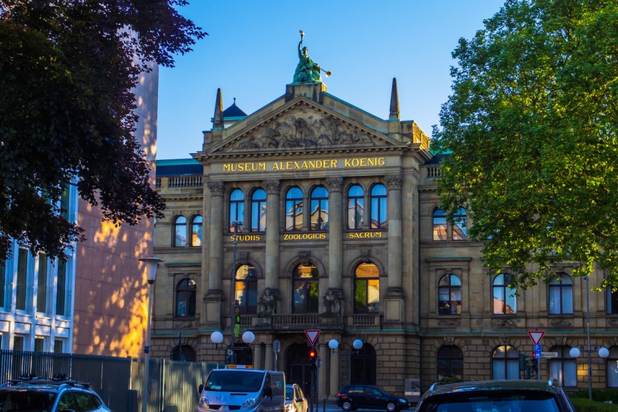 MUSÉE ALEXANDER KOENIG