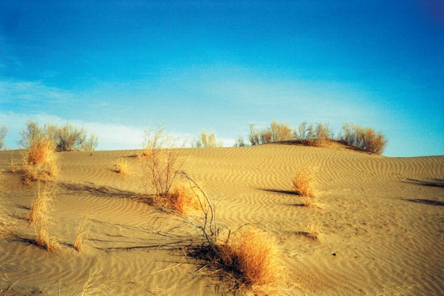 Turkménistan, désert de Karakum. Sylvie FRANCOISE