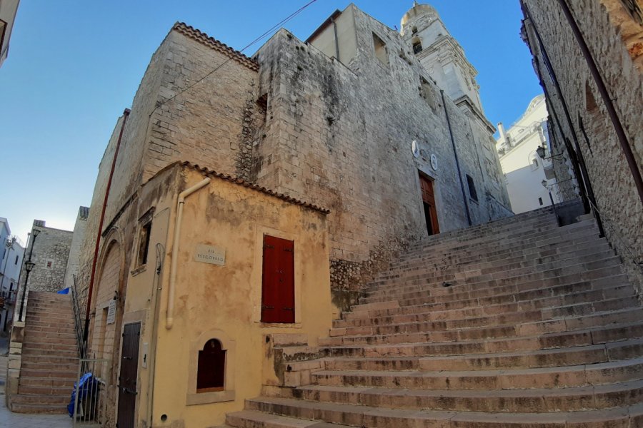 CATTEDRALE