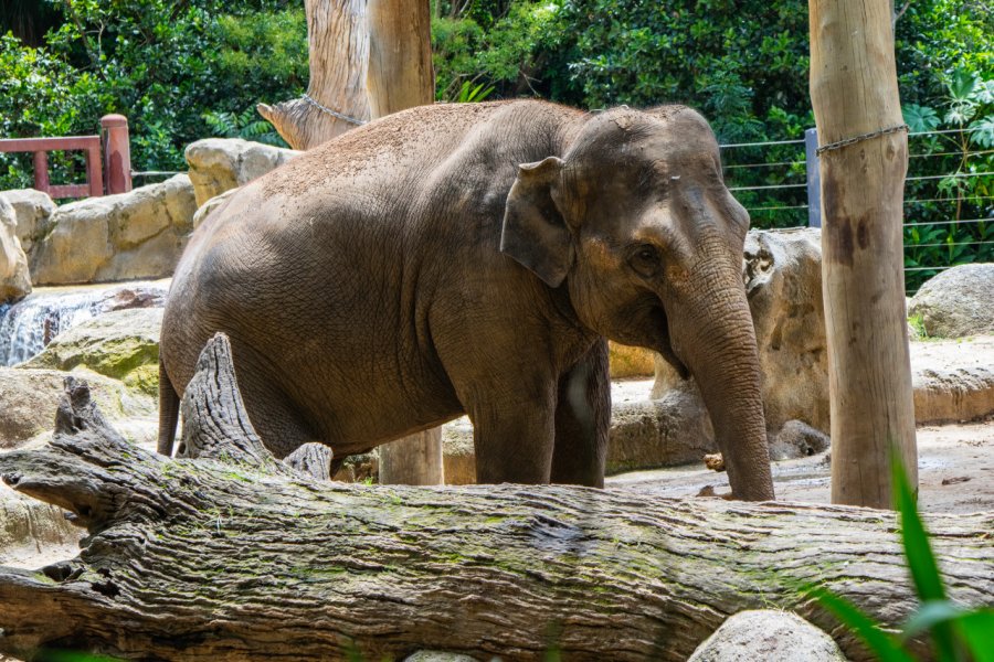 MELBOURNE ZOO