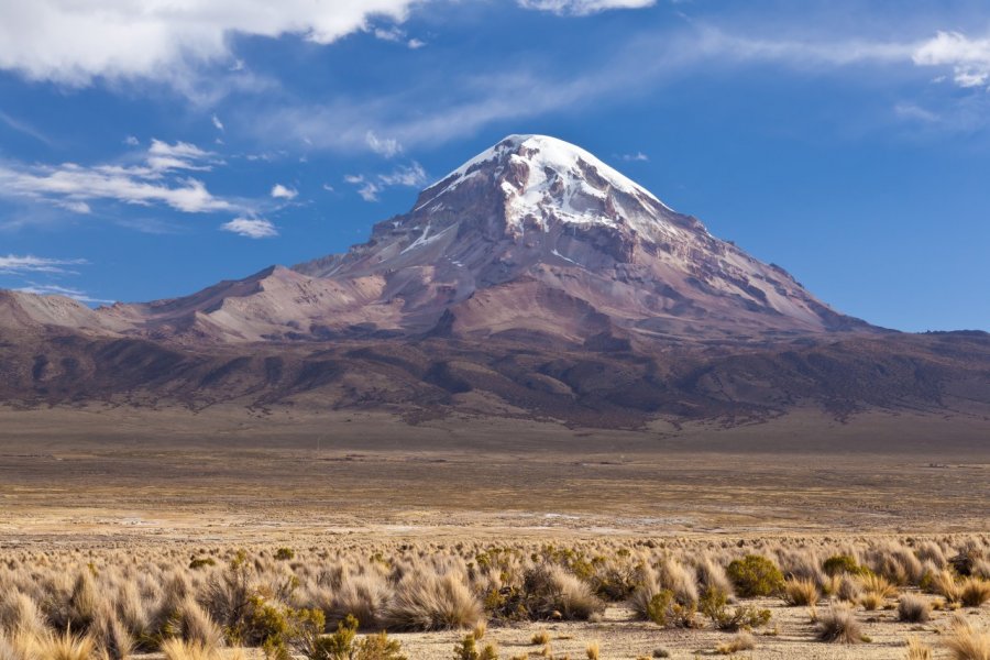 Les volcans Parinacota et Pomerape. Berzina / Shutterstock.com