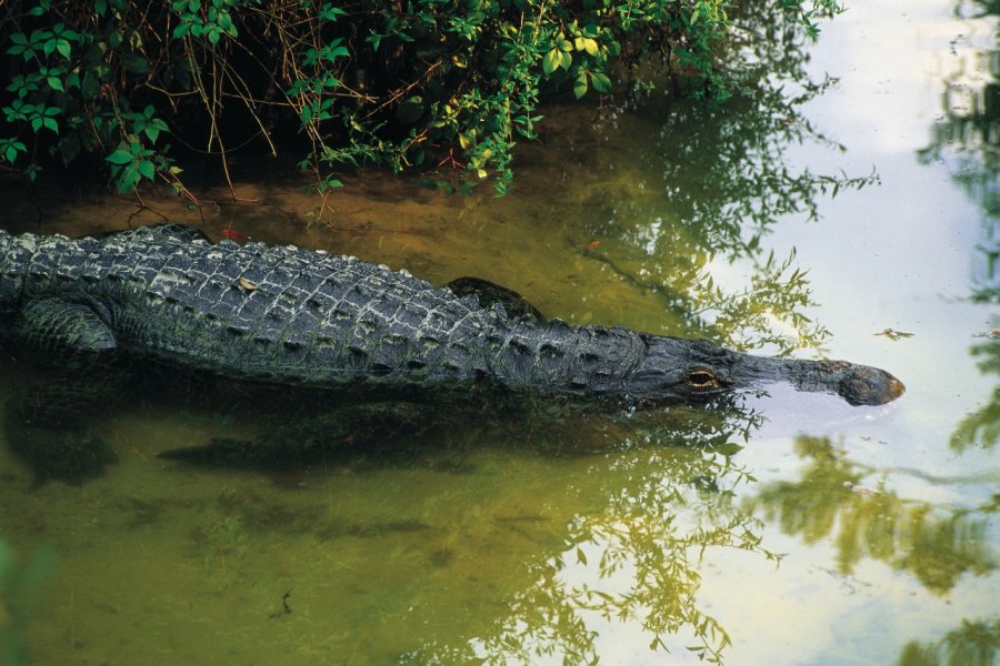 TAMPA'S LOWRY PARK ZOO