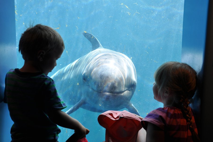 VANCOUVER AQUARIUM