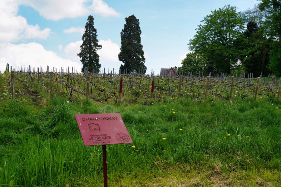 CHAMPAGNE CHÂTEAU DE BOURSAULT