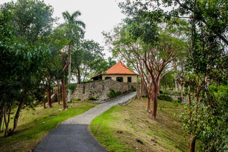 RUINES DE LA CAFEIÈRE BUENAVISTA