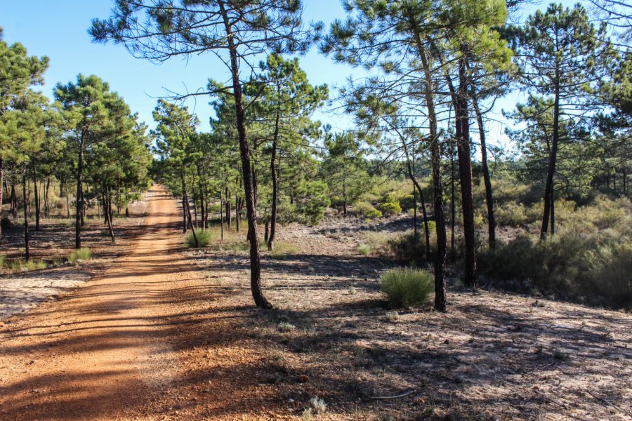 PARQUE NATURAL DA SERRA DE SÃO MAMEDE