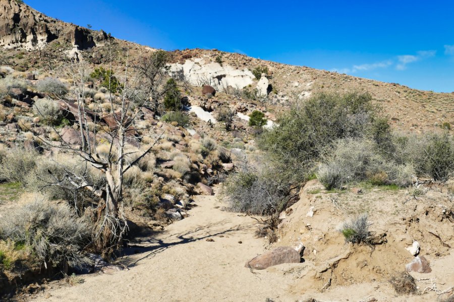 BARBER PEAK LOOP TRAIL & CARUTHERS CANYON