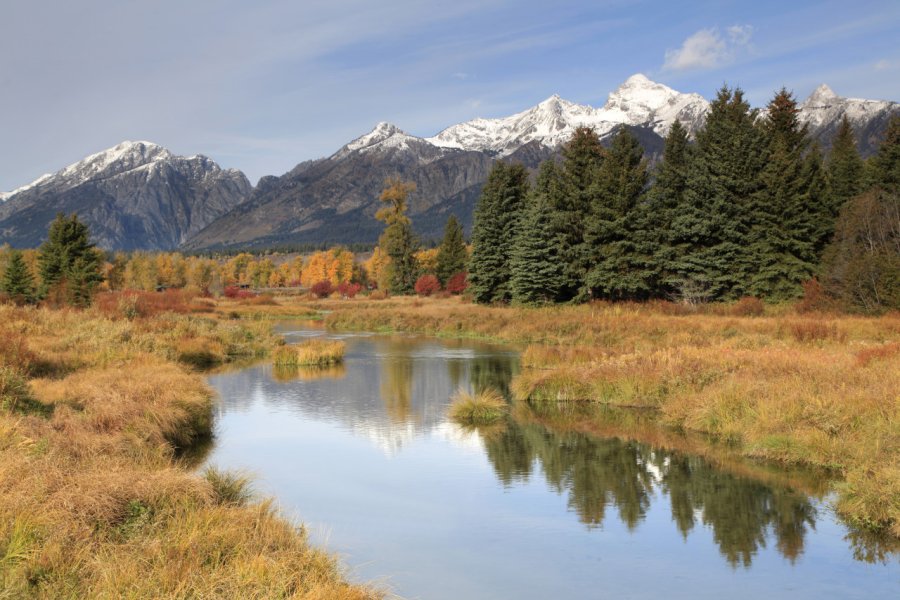 BLACKTAIL PONDS