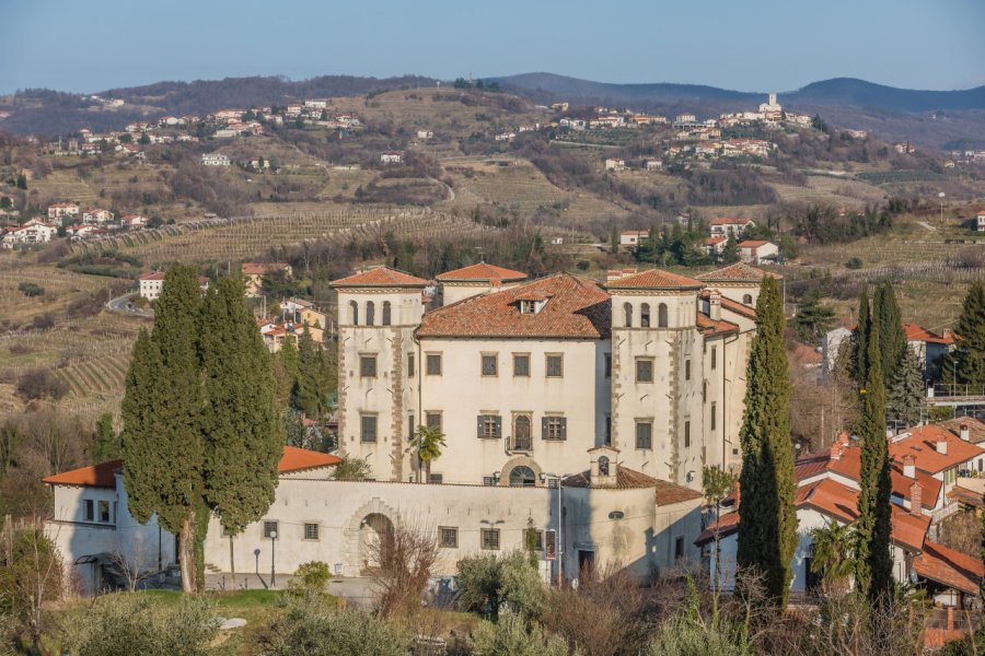 CHATEAU - MUSÉE