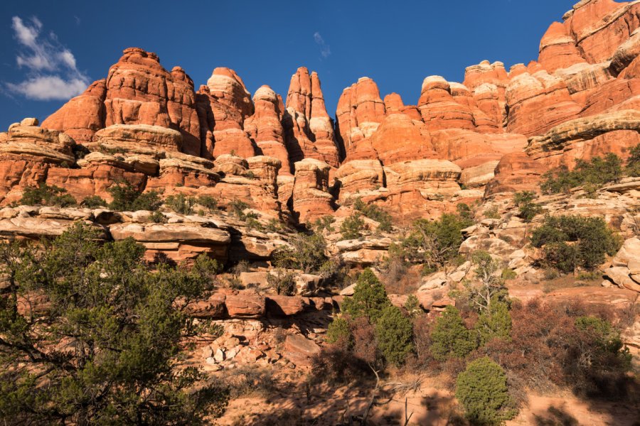 CANYONLANDS NATIONAL PARK