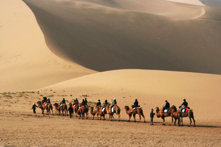 Caravane de chameaux dans les dunes près de Dunhuang. LindaWang