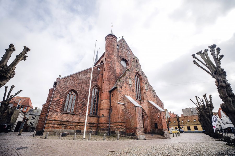 CATHÉDRALE DE HADERSLEV (HADERSLEV DOMKIRKE)