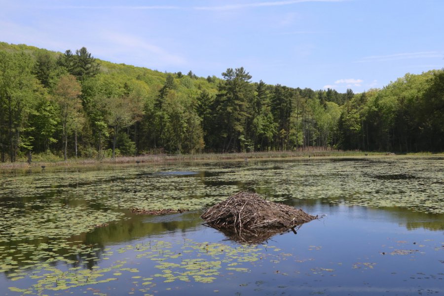 PLEASANT VALLEY WILDLIFE SANCTUARY