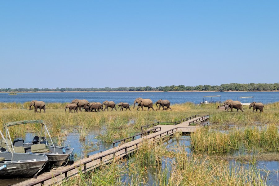 ZAMBEZI NATIONAL PARK