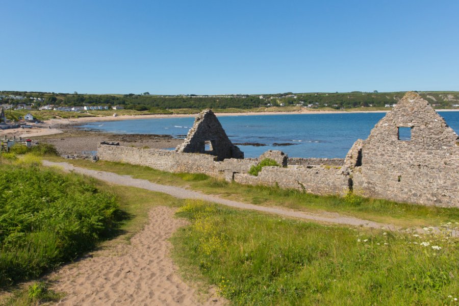 OXWICH BURROWS - NATIONAL NATURE RESERVE