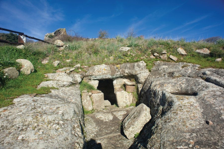 NECROPOLI DI FILIGOSA