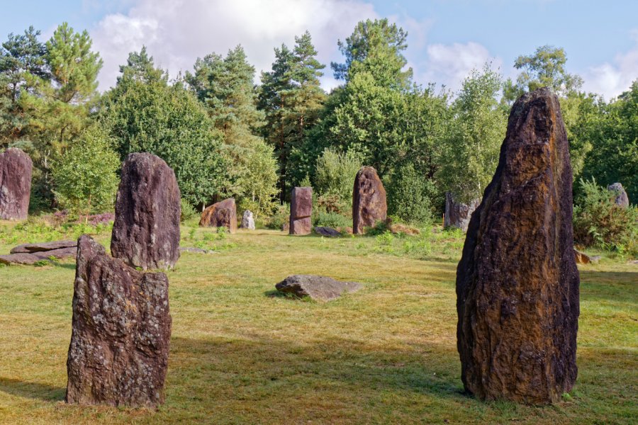 LES MENHIRS DE MONTENEUF