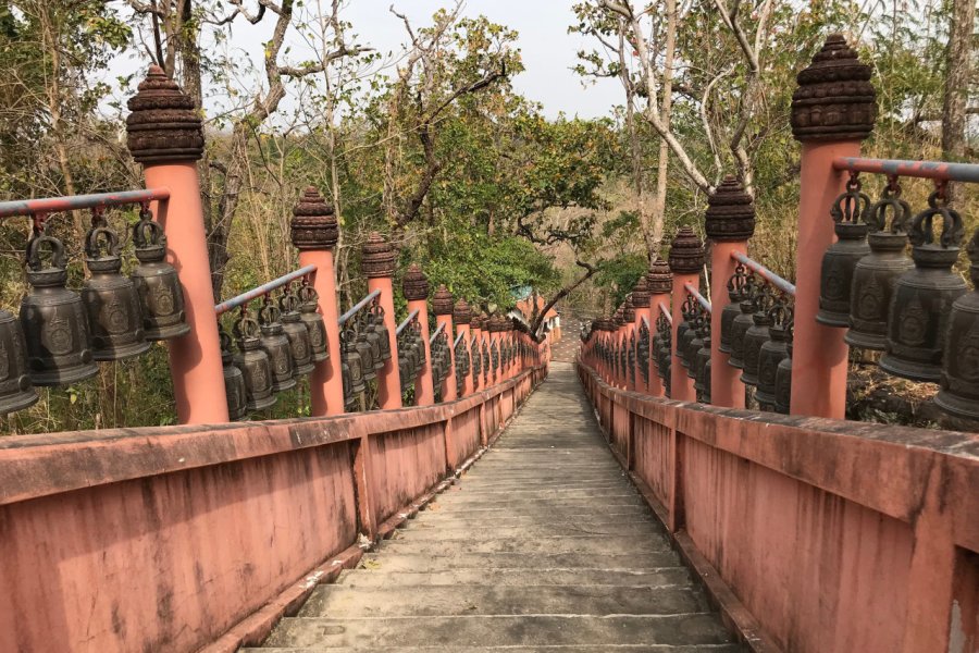 PHANOM SAWAI FOREST PARK