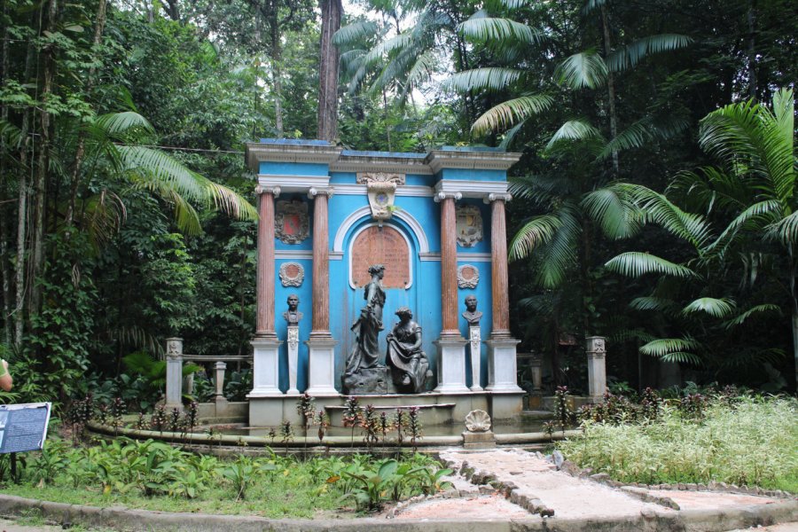 BOSQUE RODRIGUES ALVES