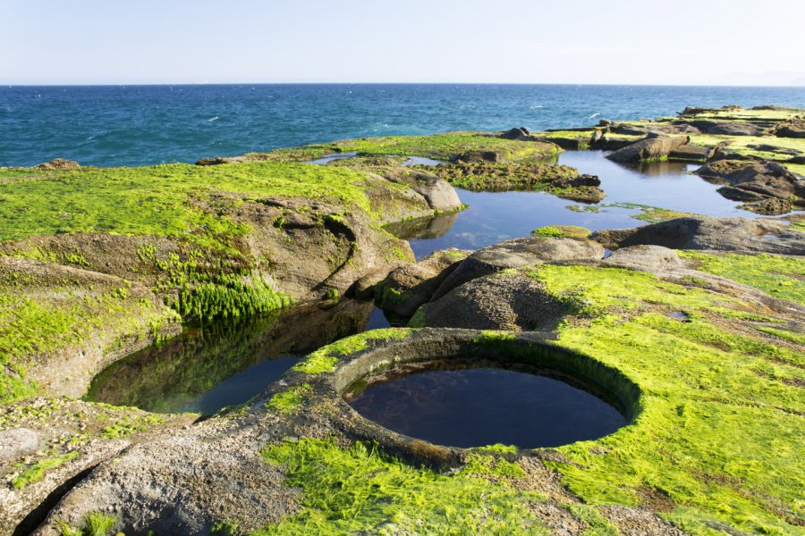 ROYAL NATIONAL PARK