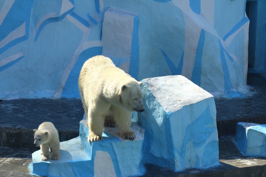 ZOO