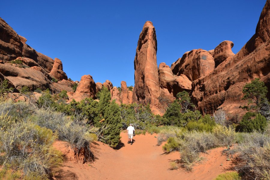DEVILS GARDEN TRAIL