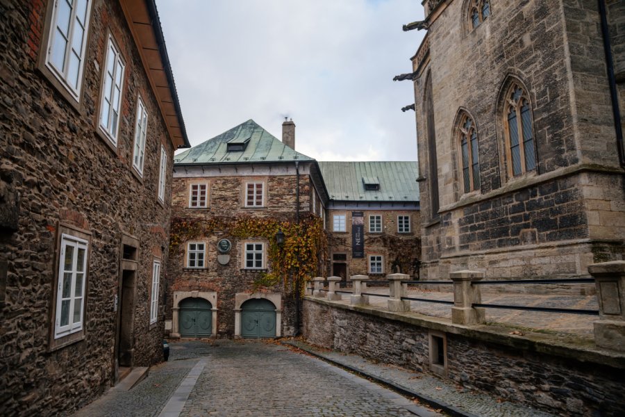 MUSÉE RÉGIONAL (REGIONÁLNÍ MUZEUM)