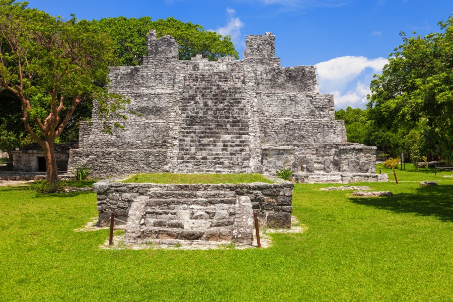 EL MECO