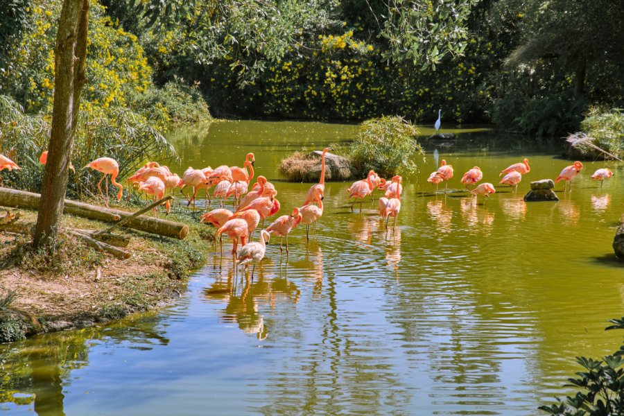 PARC NATIONAL DE PHU QUOC